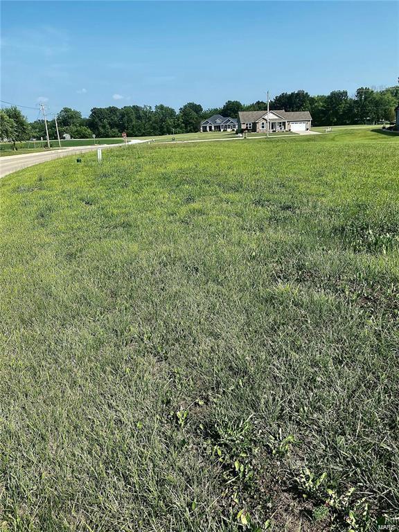 0 N June St, Jerseyville, IL 62052 - photo 2