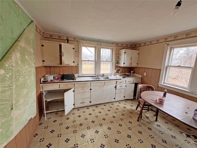 kitchen with plenty of natural light, wood walls, a sink, open shelves, and wainscoting