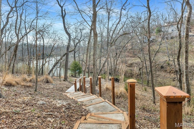 1972 Sugar Hollow Ct, Marthasville, MO 63357 - view of yard