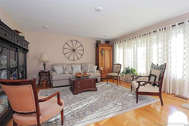 111 S Ziegler St, Pilot Knob, MO 63663 - living room featuring wood finished floors