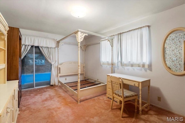 32 Briarcliffe Dr, Collinsville, IL 62234 - bedroom with light carpet and access to exterior
