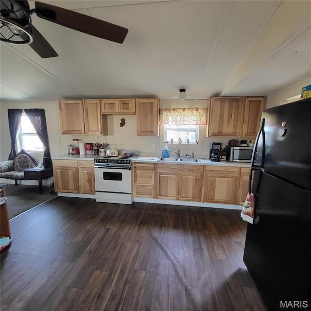 1213 Ripley Route U, Doniphan, MO 63935 - photo 2
