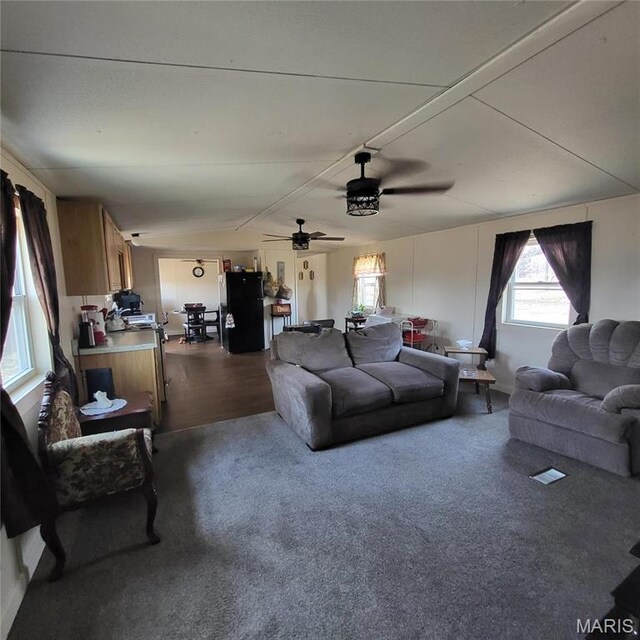 1213 Ripley Route U, Doniphan, MO 63935 - photo 4