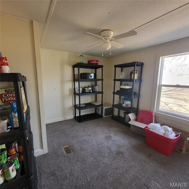 1213 Ripley Route U, Doniphan, MO 63935 - photo 5