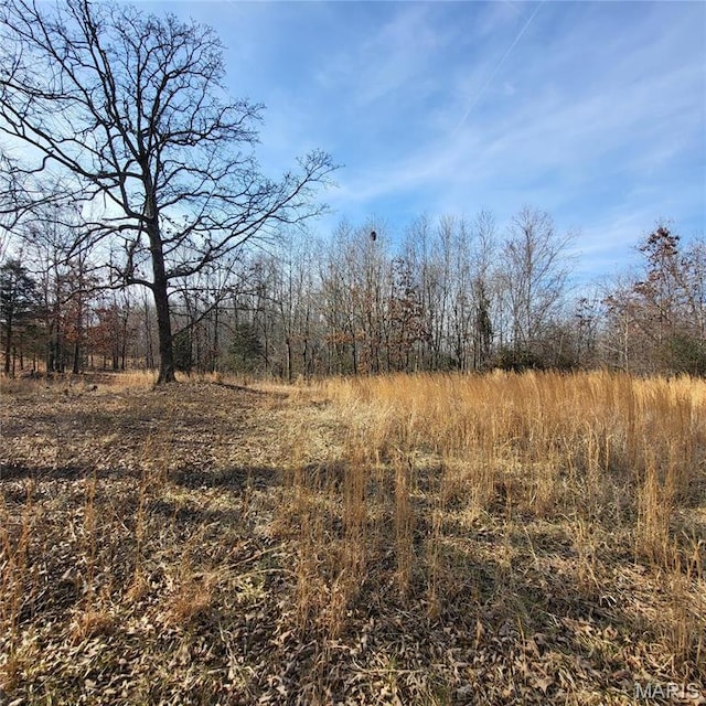 1213 Ripley Route U, Doniphan, MO 63935 - photo 10