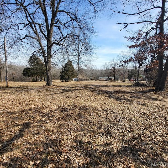 1213 Ripley Route U, Doniphan, MO 63935 - photo 11