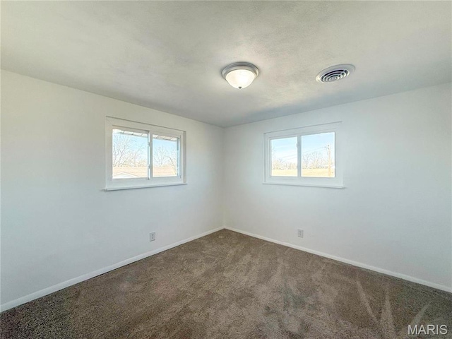 801 S Grant S, Desloge, MO 63601 - spare room with carpet floors, plenty of natural light, and baseboards