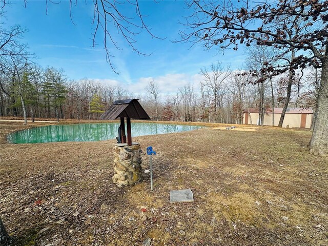 view of yard with a pool