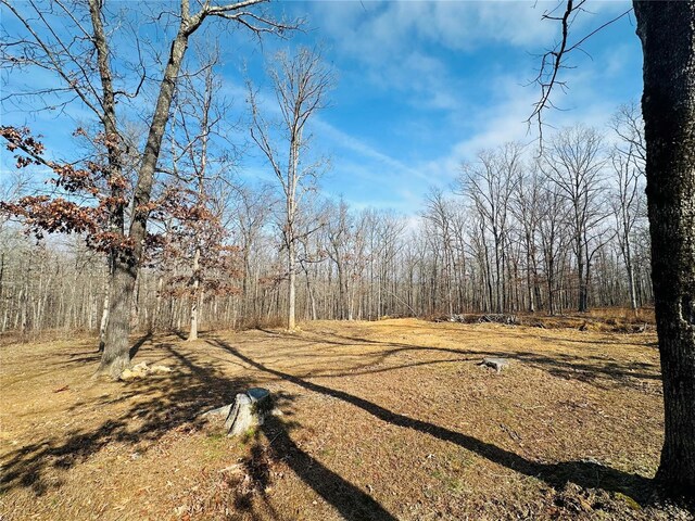 view of wooded area