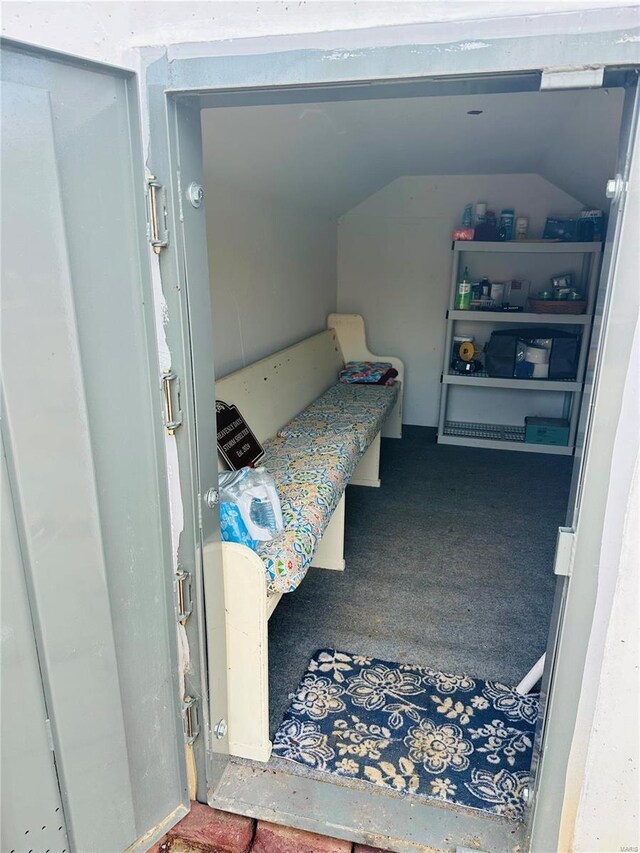 carpeted bedroom featuring vaulted ceiling