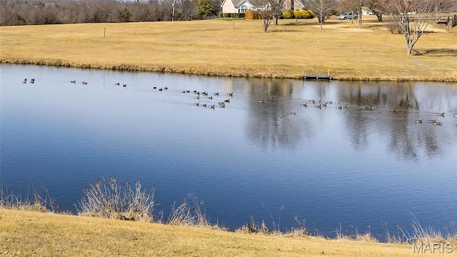 4645 Quail Run Rd, Farmington, MO 63640 - water view
