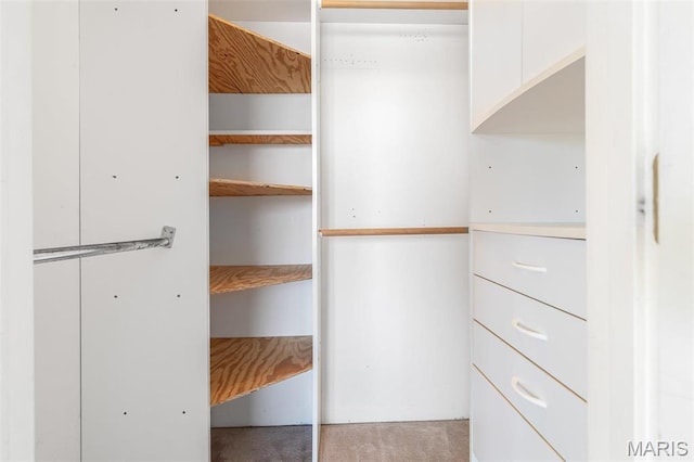 4645 Quail Run Rd, Farmington, MO 63640 - spacious closet with light carpet