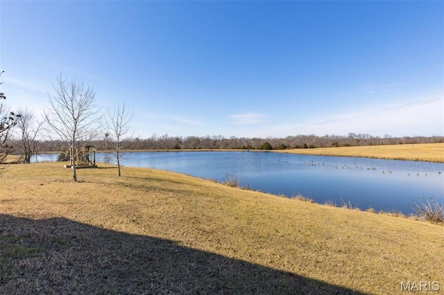 4645 Quail Run Rd, Farmington, MO 63640 - water view