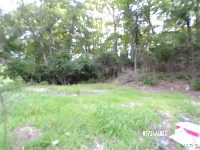 6045 Ozark Dr, High Ridge, MO 63049 - view of yard