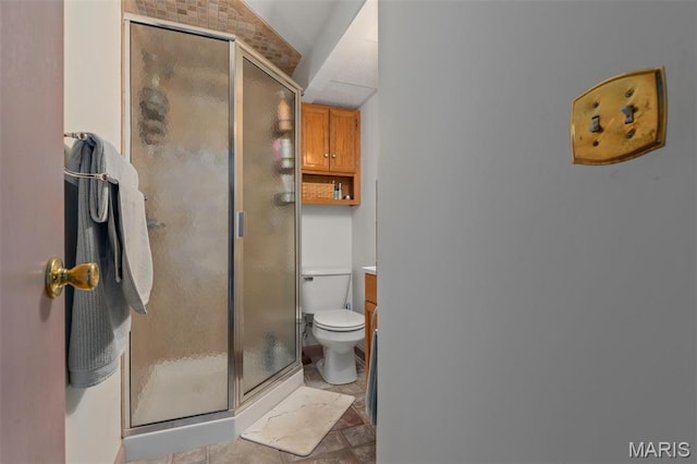 807 W Miller Dr, Staunton, IL 62088 - full bath featuring a stall shower, vaulted ceiling, toilet, and vanity