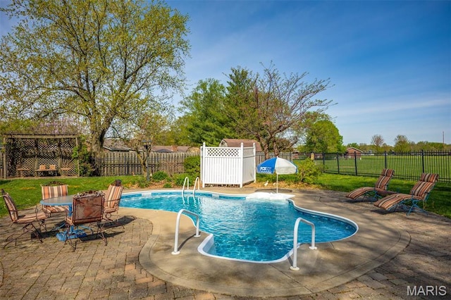 807 W Miller Dr, Staunton, IL 62088 - view of swimming pool featuring a patio area