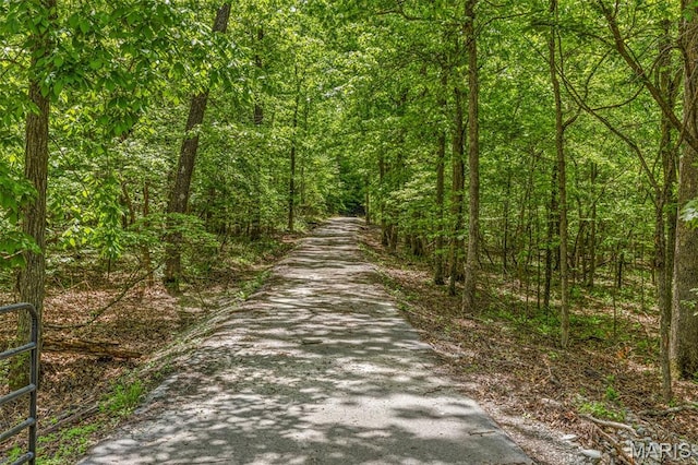 107 Wild Horse Rd, Farmington, MO 63640 - photo 8