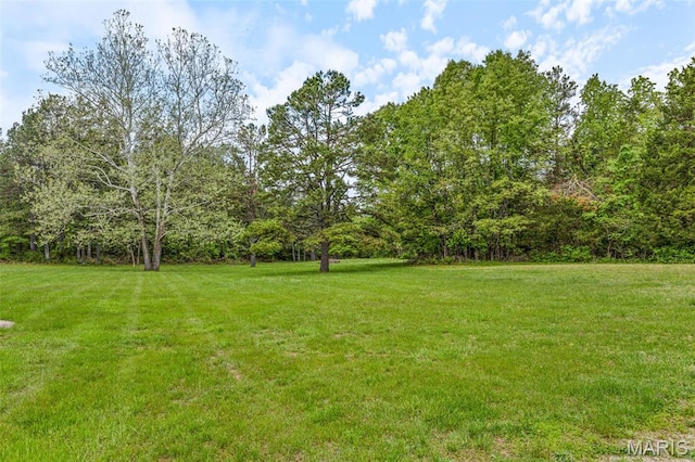 107 Wild Horse Rd, Farmington, MO 63640 - photo 19