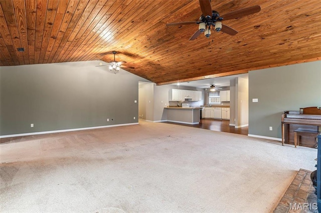 107 Wild Horse Rd, Farmington, MO 63640 - photo 31