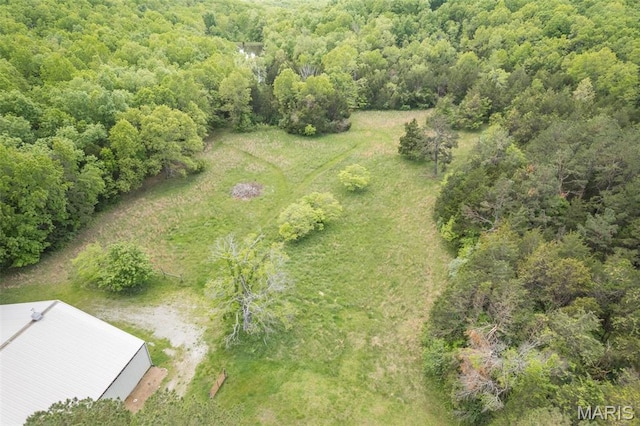 107 Wild Horse Rd, Farmington, MO 63640 - photo 67
