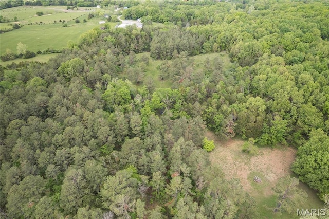 107 Wild Horse Rd, Farmington, MO 63640 - photo 74