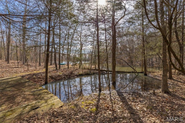 107 Wild Horse Rd, Farmington, MO 63640 - photo 77