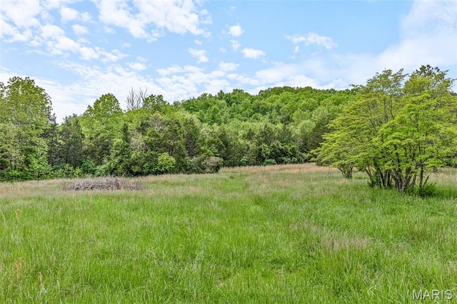 107 Wild Horse Rd, Farmington, MO 63640 - photo 85