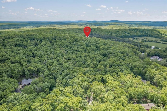 107 Wild Horse Rd, Farmington, MO 63640 - photo 98