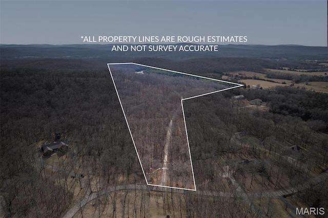 107 Wild Horse Rd, Farmington, MO 63640 - photo 99