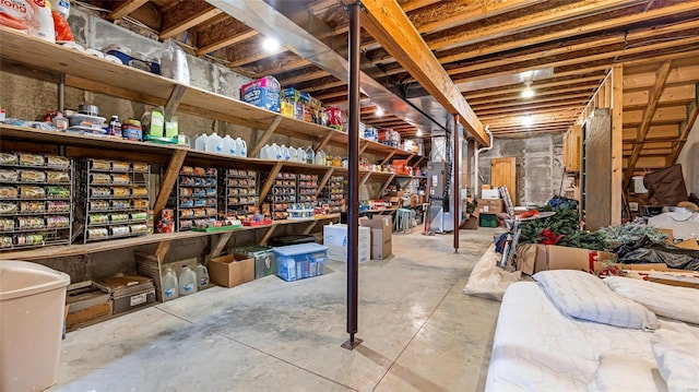 302 Deer Run Acres A, Williamsville, MO 63967 - view of storage room