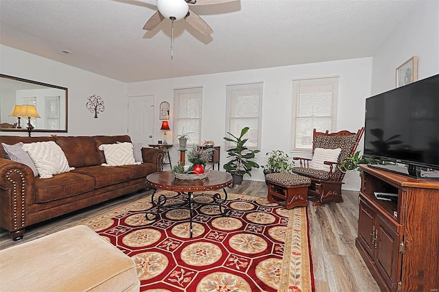 918 Susan St, Dexter, MO 63841 - living area with light wood finished floors and a ceiling fan