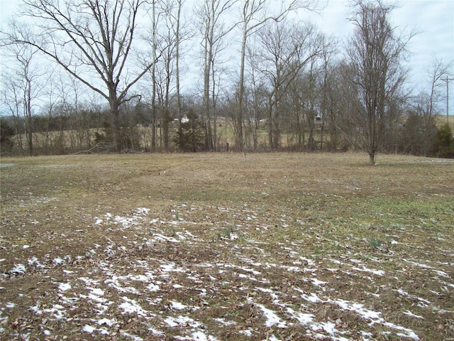 view of undeveloped land