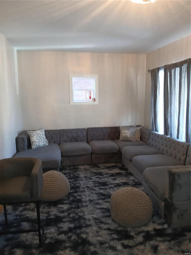 1018 N Hornsby, Saint Louis, MO 63147 - view of living area