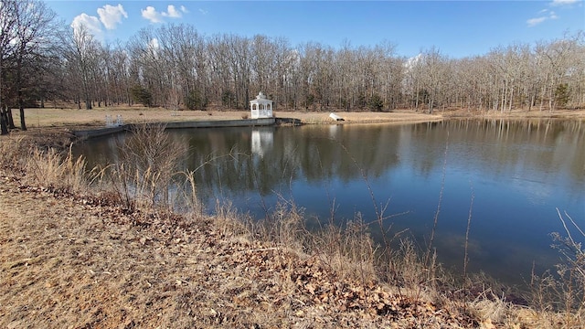 319 County Road 2270, Salem, MO 65560 - water view featuring a forest