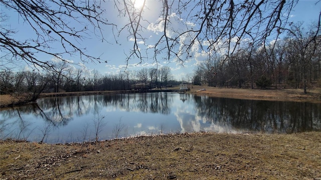 319 County Road 2270, Salem, MO 65560 - water view