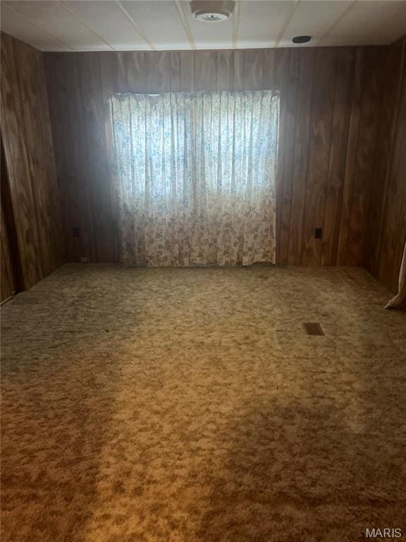 empty room featuring wooden walls and carpet