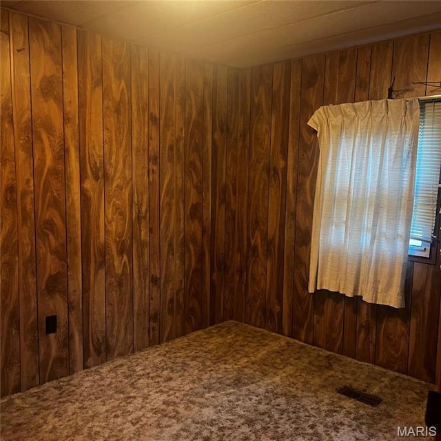 spare room featuring wood walls and carpet