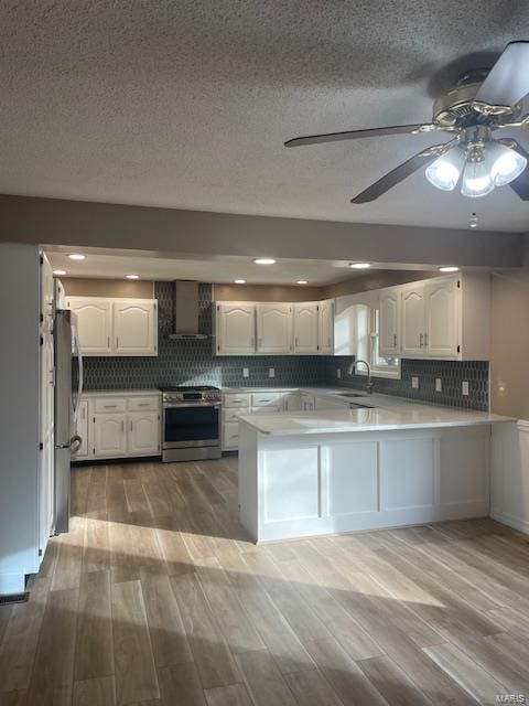 420 Joyce Ave, Bernie, MO 63822 - kitchen with stainless steel appliances, wall chimney exhaust hood, a sink, a peninsula, and white cabinetry
