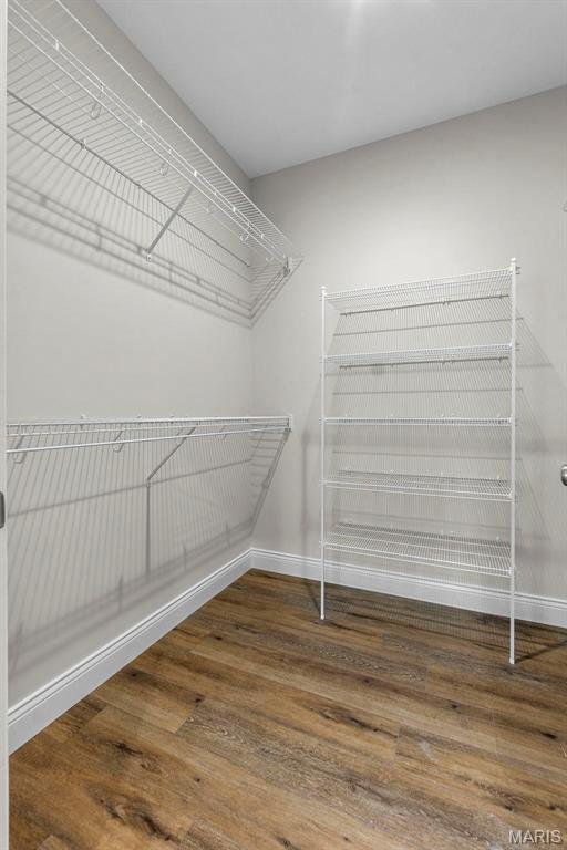 4 Creekside Way, Cape Girardeau, MO 63701 - spacious closet with wood finished floors