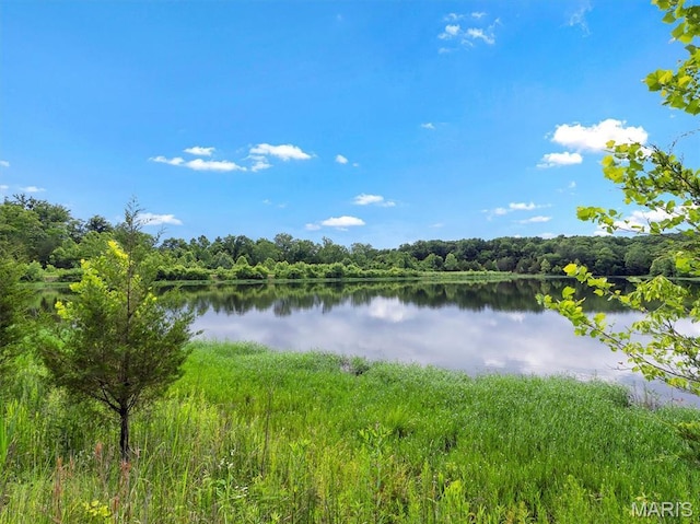 2206 Big River Trl, De Soto, MO 63020