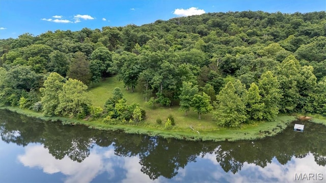 2206 Big River Trl, De Soto, MO 63020