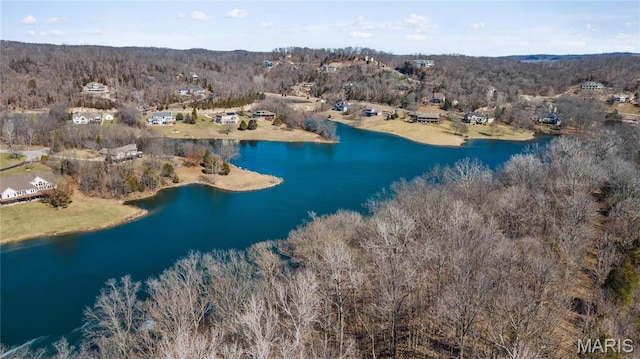 4349 Murdoch Ln, Augusta, MO 63332 - drone / aerial view of a large body of water and a forest