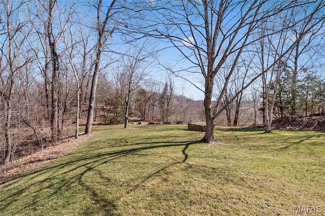 4349 Murdoch Ln, Augusta, MO 63332 - view of green lawn