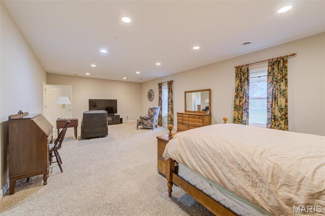 120 Brook Hill Ln, Troy, MO 63379 - photo 53