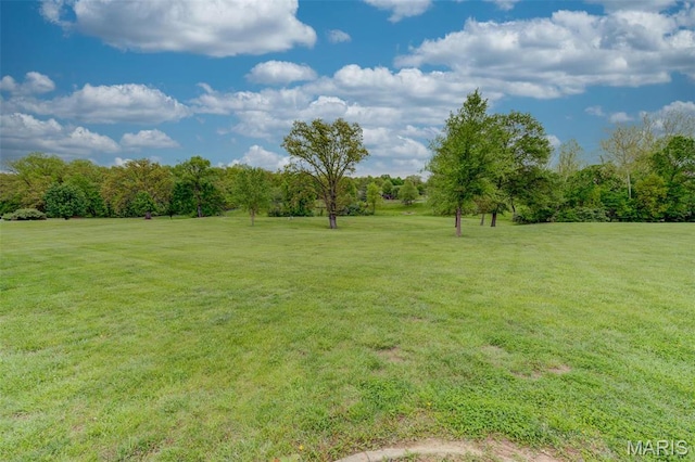120 Brook Hill Ln, Troy, MO 63379 - photo 64