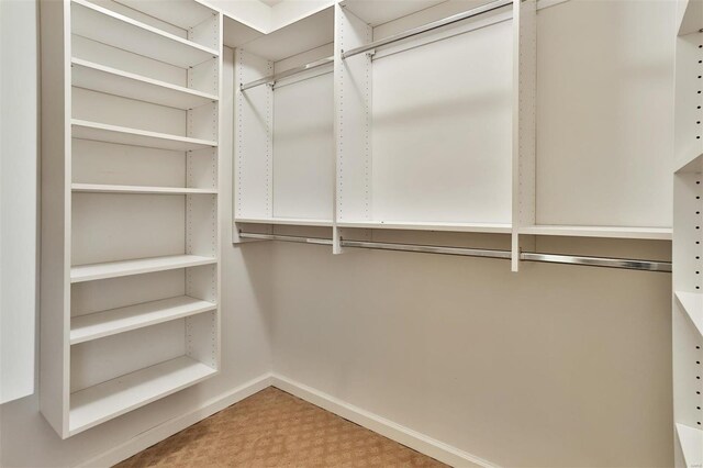 11920 Old Ballas Rd Unit 202, Saint Louis, MO 63141 - spacious closet featuring carpet floors