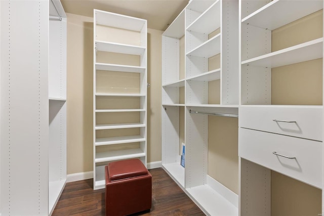 1052 S Kingshighway Blvd, Saint Louis, MO 63110 - spacious closet featuring dark wood-style floors