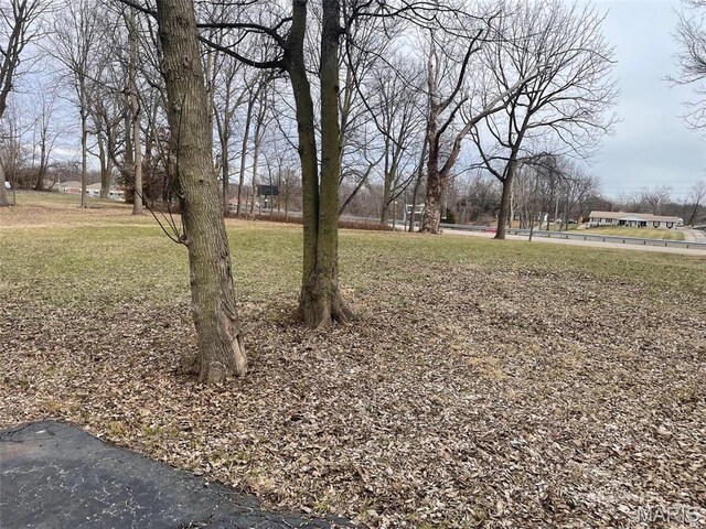 12255 Benham Rd, Saint Louis, MO 63138 - view of green lawn