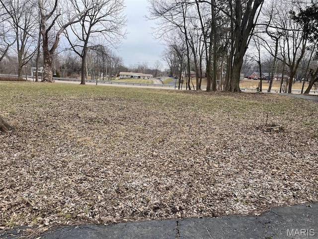 12255 Benham Rd, Saint Louis, MO 63138 - view of yard