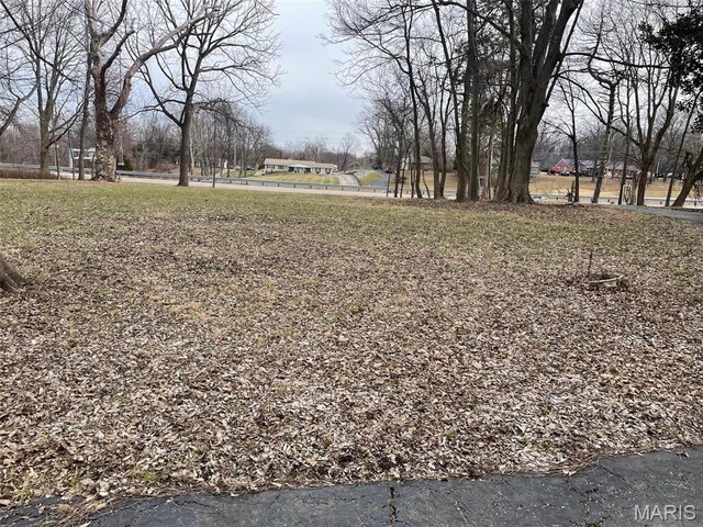 12255 Benham Rd, Saint Louis, MO 63138 - view of yard